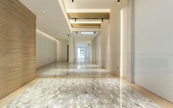 Bukit Pasoh Conservation Area (D2), Shop House #582384101